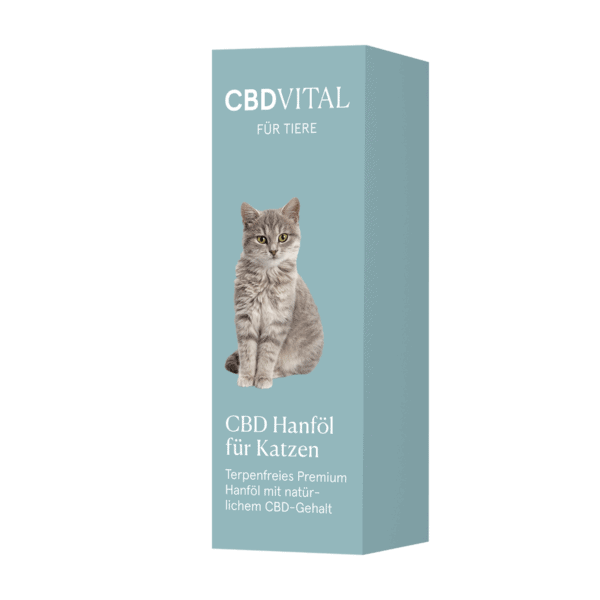 cbd масло за котки